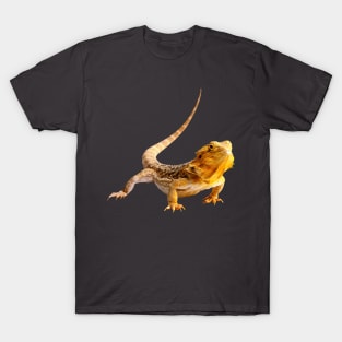 Bearded Dragon T-Shirt